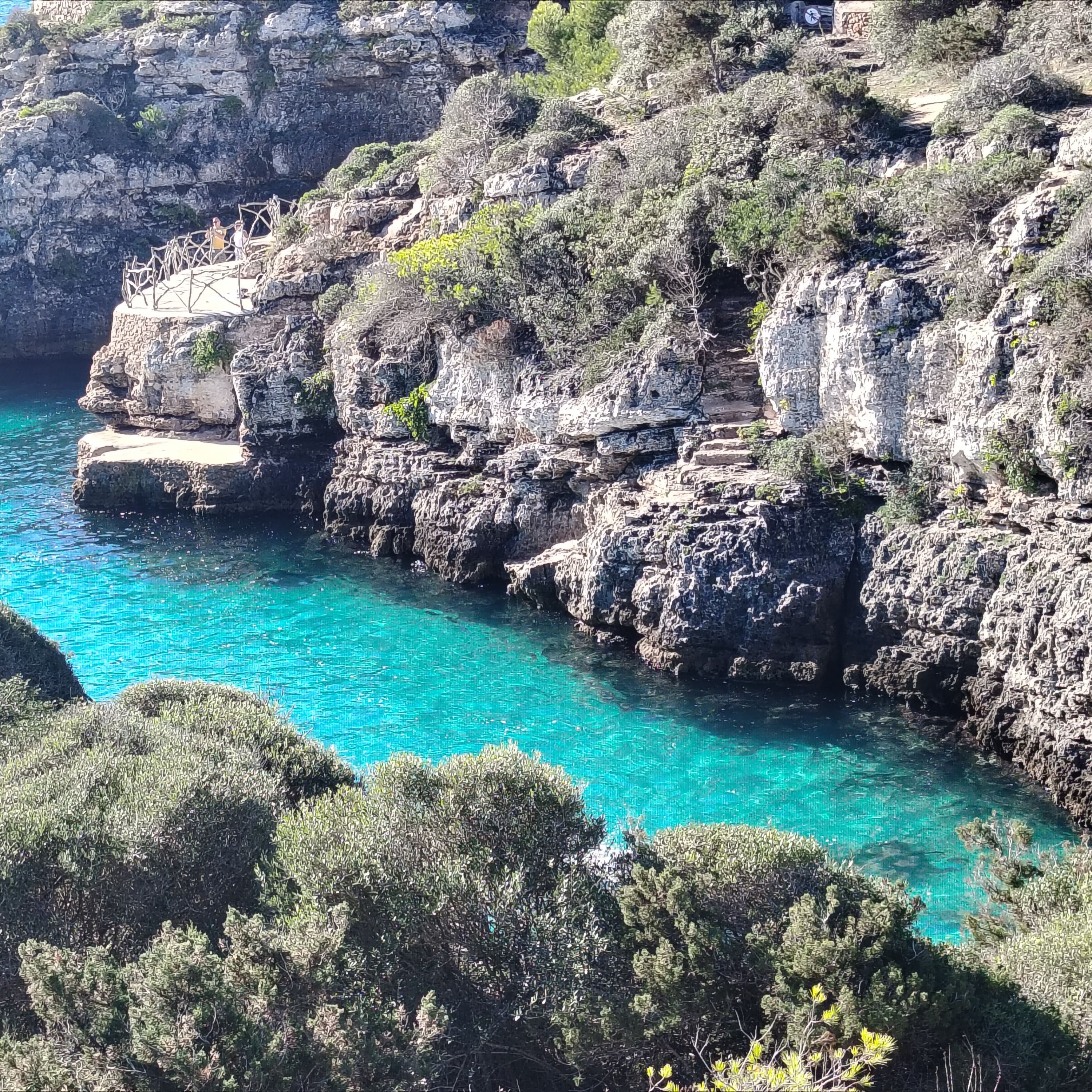 photo de profil de 🌺Soph🌺